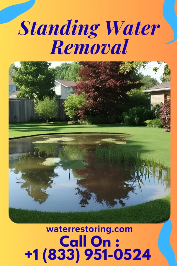 Standing Water Removal in Elba, NE